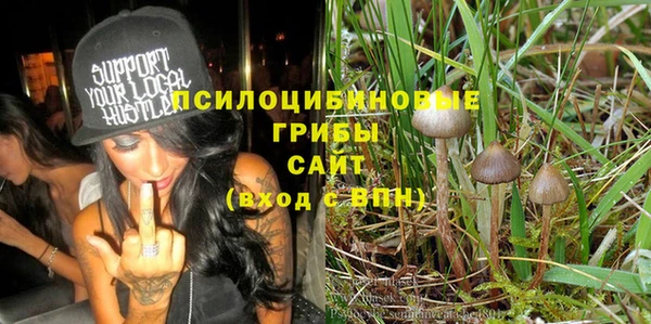 бошки Абдулино