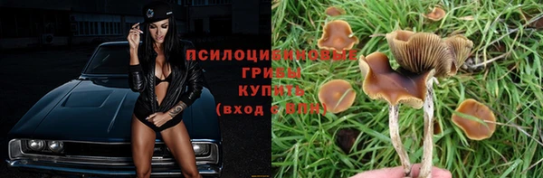 бошки Абдулино
