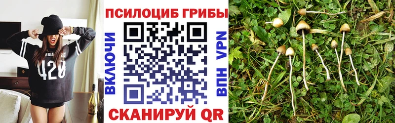 OMG ССЫЛКА  Горячеводский  Галлюциногенные грибы мухоморы 
